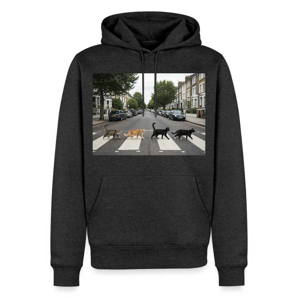 The Purrfect Crossing – Wir waren vor der Band da | Männer Premium Hoodie - Anthrazit meliert