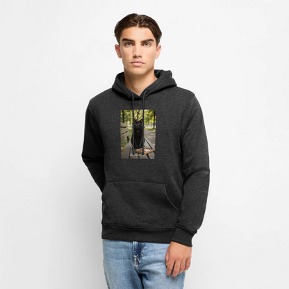 Forrest Cat – Krümel wartet | Männer Premium Hoodie - Anthrazit meliert